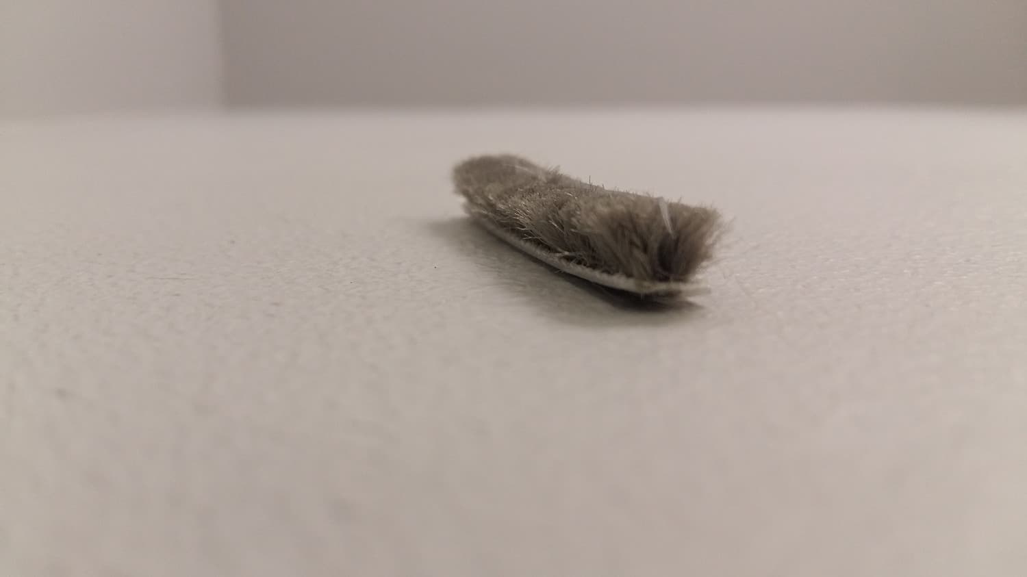 Coupe-froid en brosse fait de polypropylène(vendu au pied) - VOS-DEF6-134 | Vosthermos