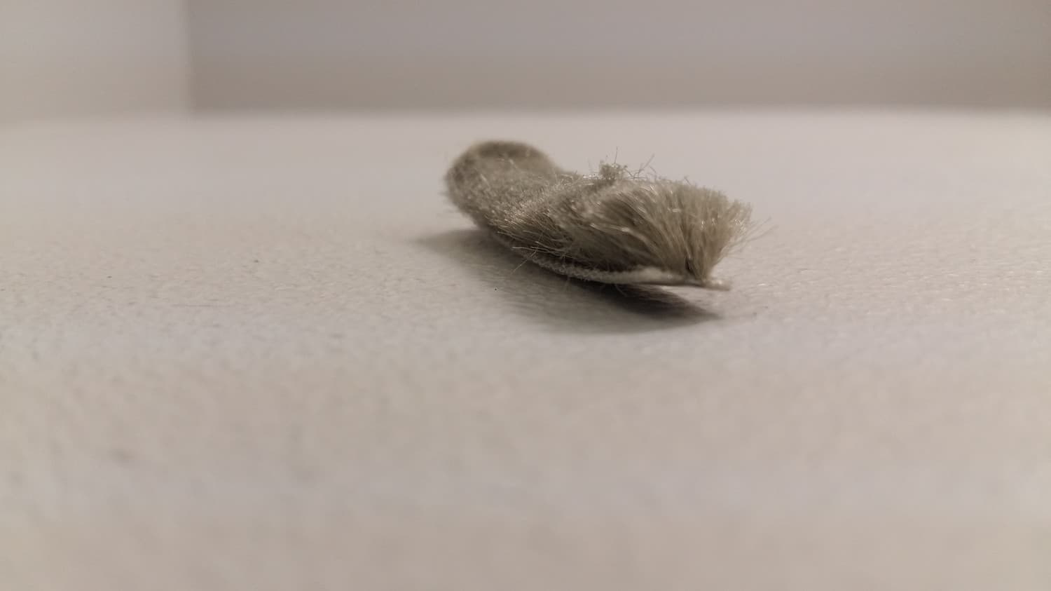 Coupe-froid en brosse fait de polypropylène(vendu au pied) - VOS-DEF6-137 | Vosthermos