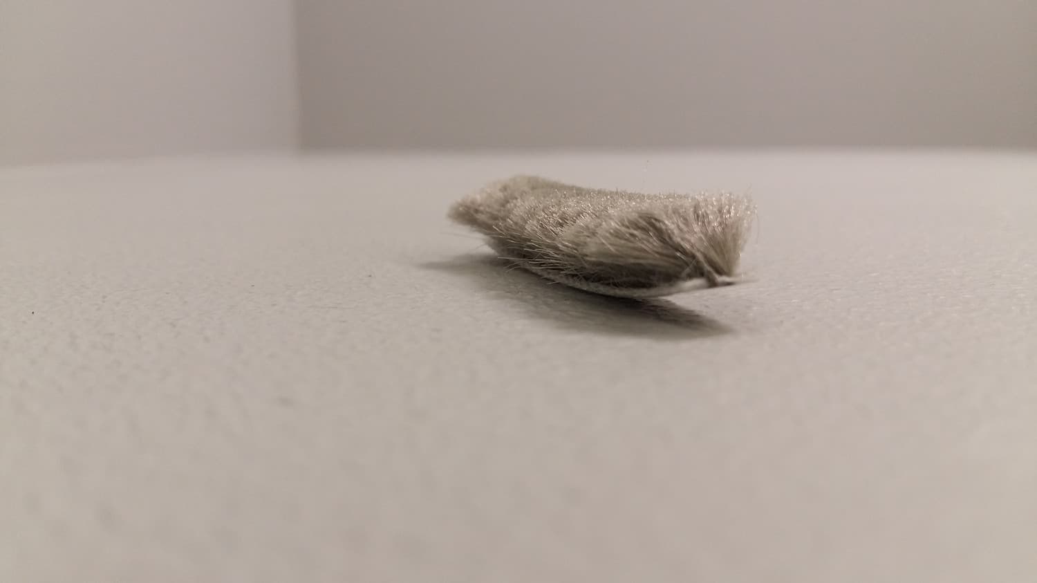 Coupe-froid en brosse fait de polypropylène(vendu au pied) - VOS-DEF6-142 | Vosthermos