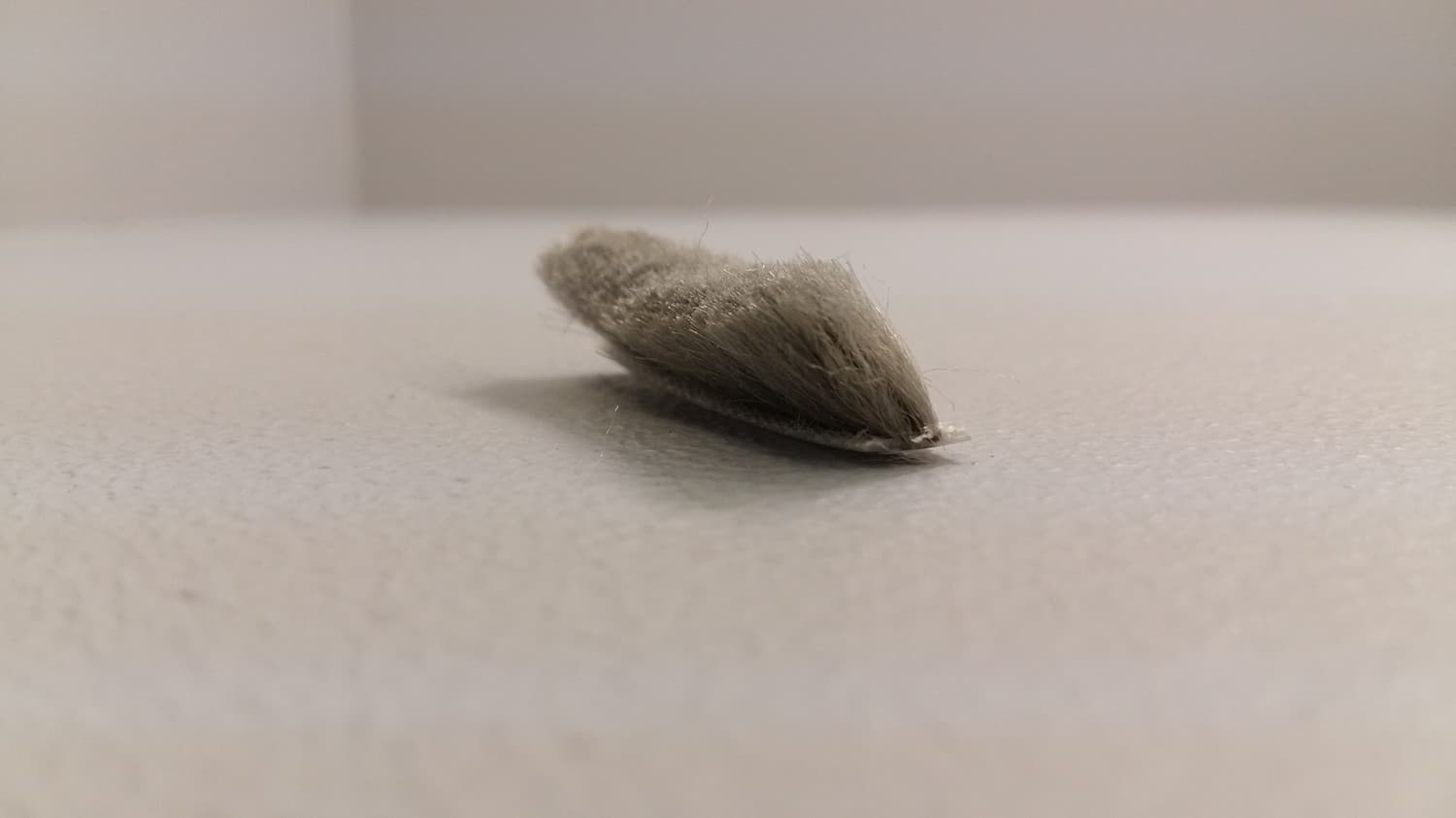 Coupe-froid en brosse fait de polypropylène(vendu au pied) - VOS-DEF6-143 | Vosthermos